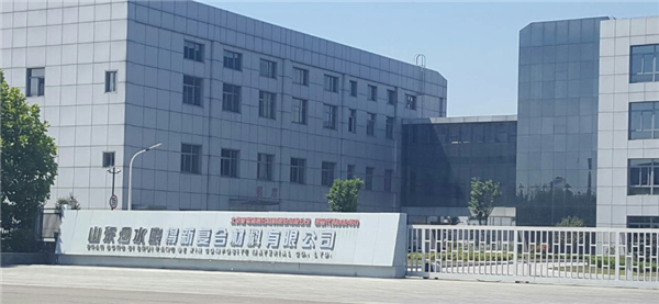 山东泗水康得新材料有限公司10吨燃煤锅炉改造