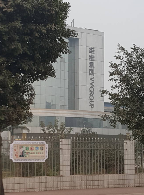 维维豆奶集团四川泸州分公司20吨燃煤锅炉改造g