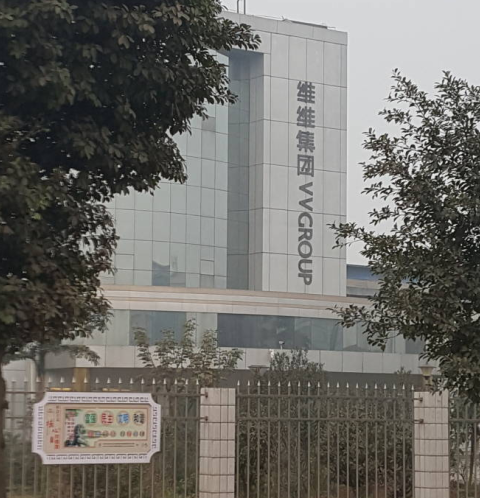 维维豆奶集团四川泸州分公司20吨燃煤锅炉改造